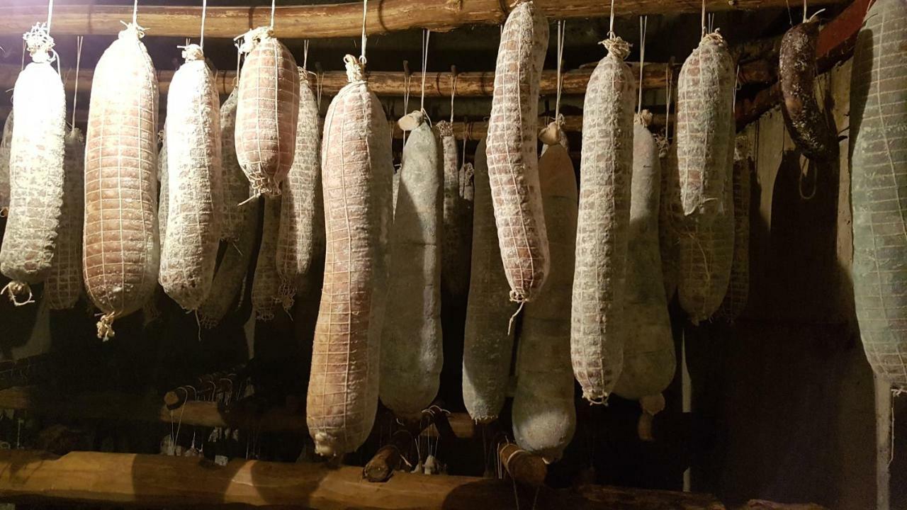 Volpe Golosa Farm stay *