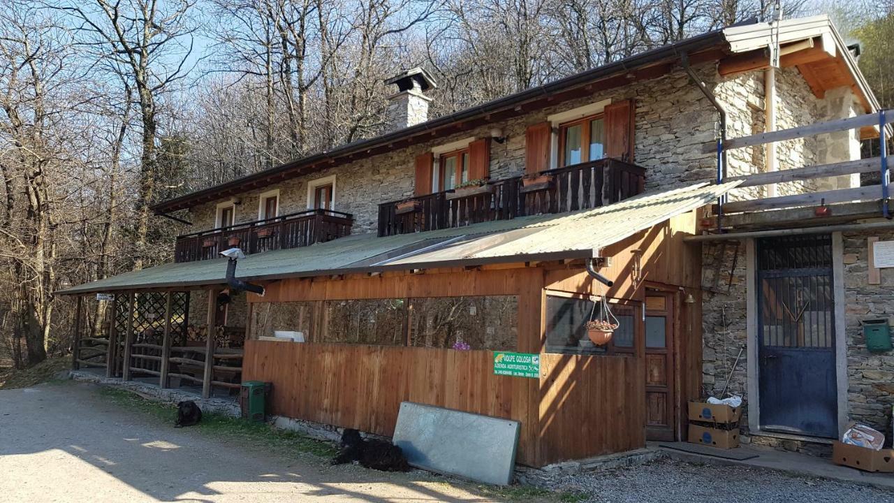 Farm stay Volpe Golosa