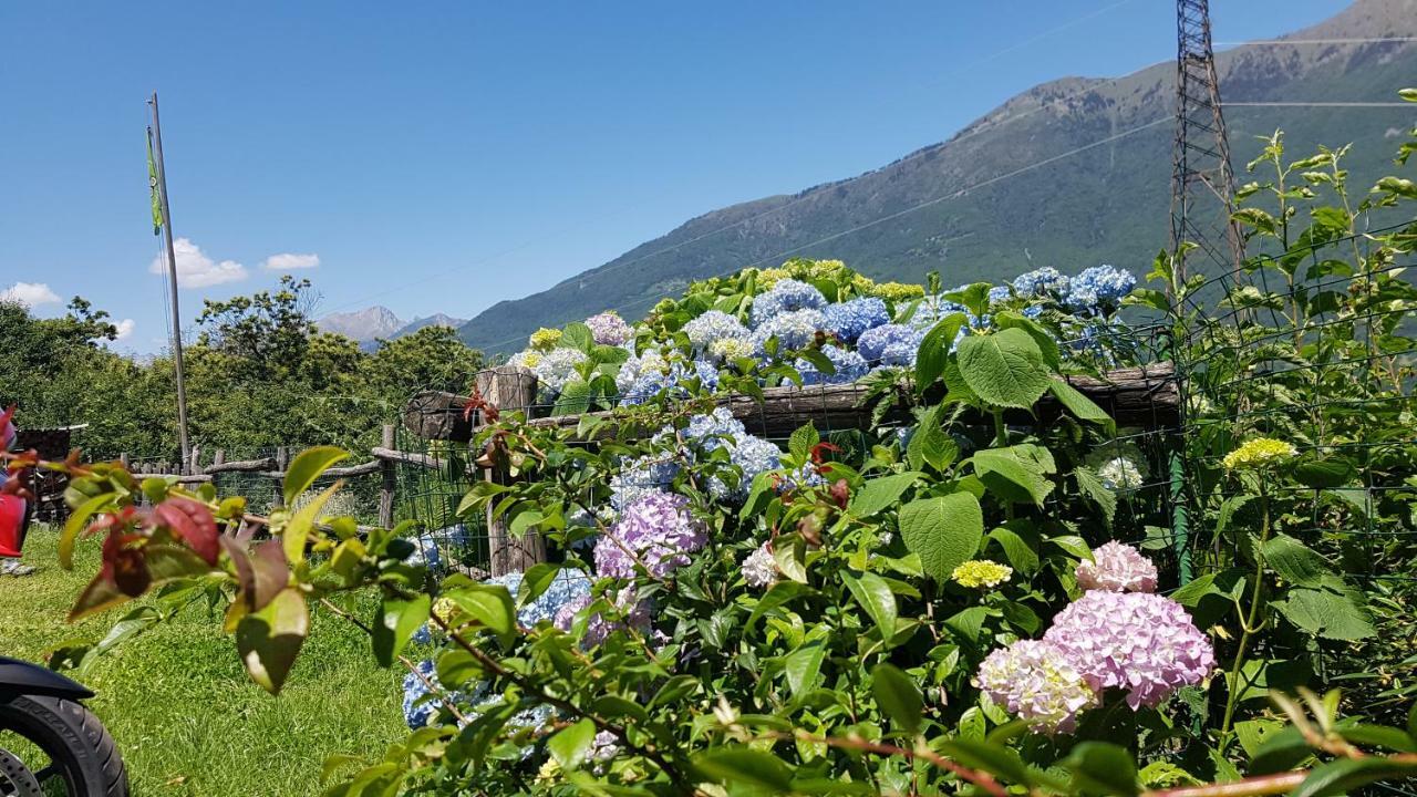 Volpe Golosa Farm stay *